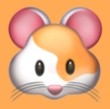 酷咪视频下载APP应用