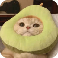 撸撸社appAPP应用
